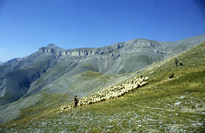 1990, Marcel Bellieud et Serge Brun sur la montagne de l'Estrop (Péone)