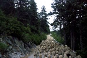 2006, la montée du col du Buis après Briançonnet, en direction du col de Féline et d'Entrevaux