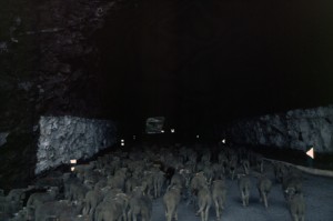2006, entrée dans un des tunnels des gorges de Daluis
