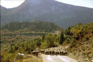 2007, descente du col du Buis sur Briançonnet