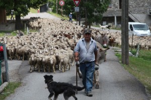2011, le départ est donné, Francis Loquès prend la tête du troupeau