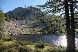 2016 le lac de Camp Soubran IMG_4983