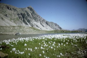 le lac des Linaigrettes (2494m), septembre 1985